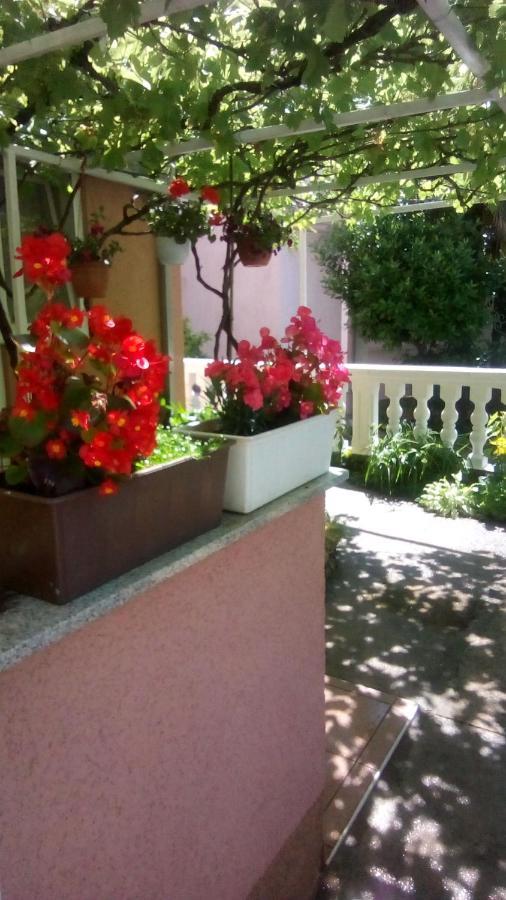 Apartman Tihana Цриквениця Екстер'єр фото